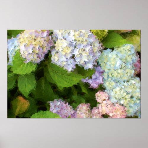 Watercolor Hydrangeas Flowers Poster
