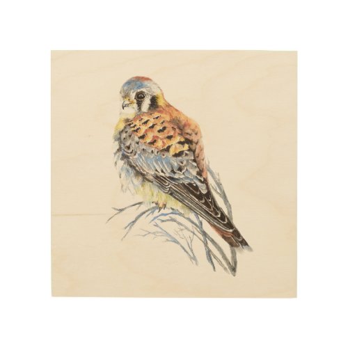 Watercolor Kestrel Sparrow Hawk Bird Nature Art