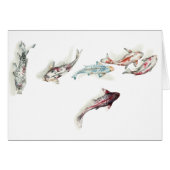 Watercolor Koi Fish (Front Horizontal)