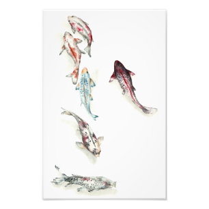 Watercolor Koi Fish Photo Print