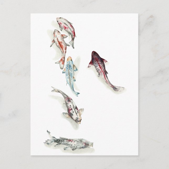 Watercolor Koi Fish Postcard (Front)