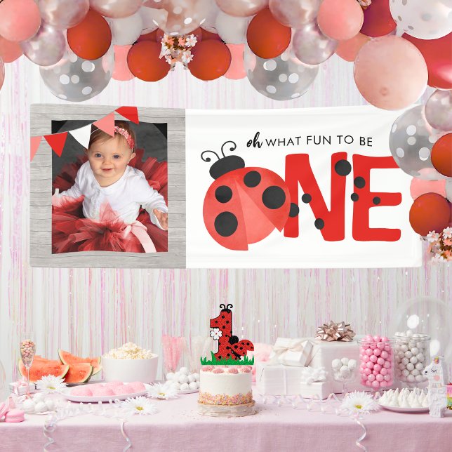 Watercolor Ladybug Oh What Fun ONE Photo Party Banner (Oh What Fun to Be ONE Watercolor Ladybug Hanging Photo Birthday Vinyl Banner With Wood Accent)