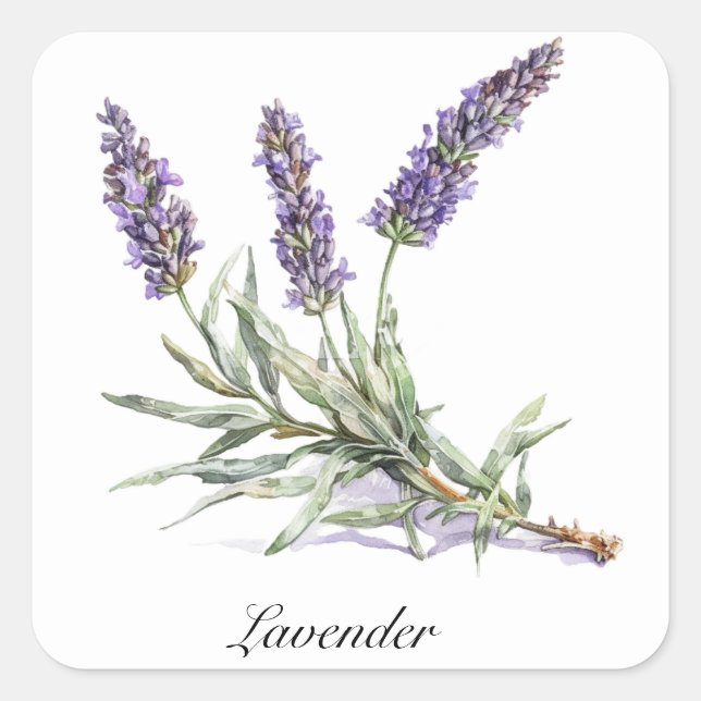 Watercolor Lavender Botanical Wellness Custom Square Sticker (Front)
