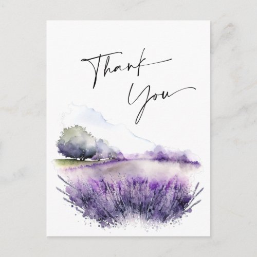Watercolor Lavender Flowers Field Thank You Postcard