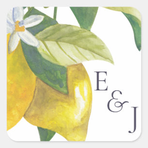 Watercolor Lemon Blossom Monogram Wedding Square Sticker