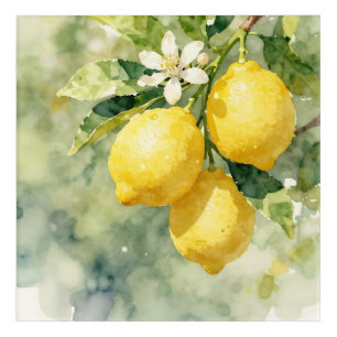 Watercolor Lemon Branch Botanical Summer Acrylic Print
