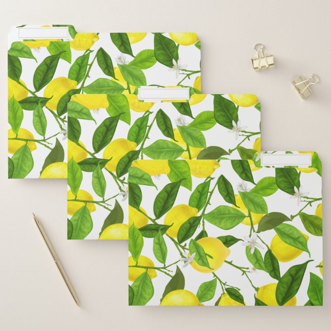 Watercolor Lemon File Folder (Set)