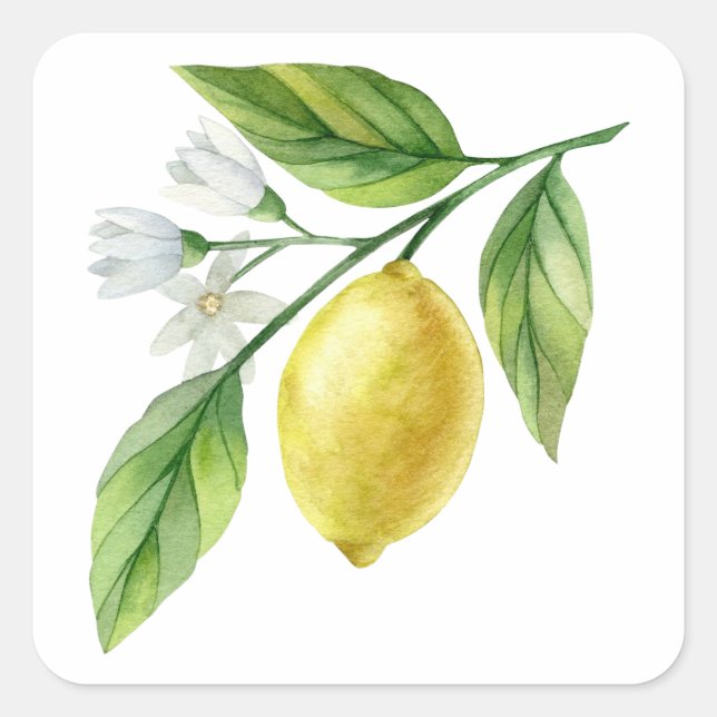 Watercolor Lemon Pattern Poster Square Sticker (Front)