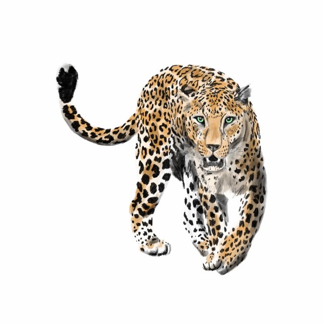 watercolor leopard jungle cat painted animal green cutout (Front)