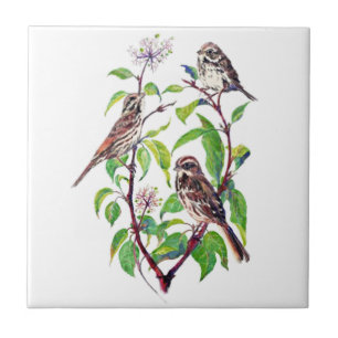Watercolor Little Bird in Dogwood tree Bird Art Ceramic Tile