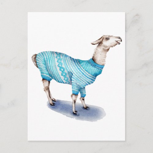 Watercolor Llama in Blue Sweater Postcard