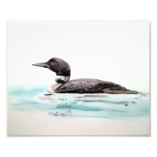 Watercolor Loon Art Photo Print
