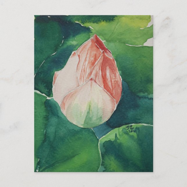 Watercolor Lotus Postcard (Front)