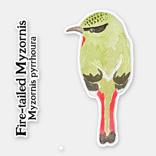 Watercolor M pyrrhoura Fire_tailed Myzornis Sticker