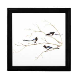 Watercolor Magpie Bird Family Chatting in Tree Gift Box
