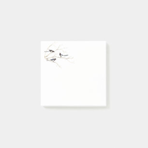 Watercolor Magpie Bird Family Chatting in Tree Post-it Notes