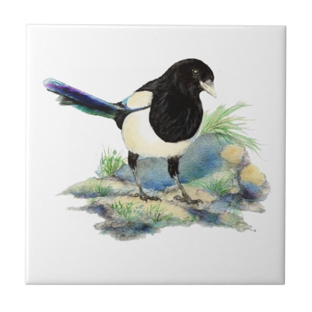  Watercolor Magpie Bird Looking at You Ceramic Tile (Front)