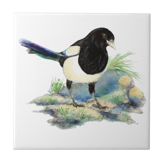 Watercolor Magpie Bird Wildlife Art Ceramic Tile (Front)