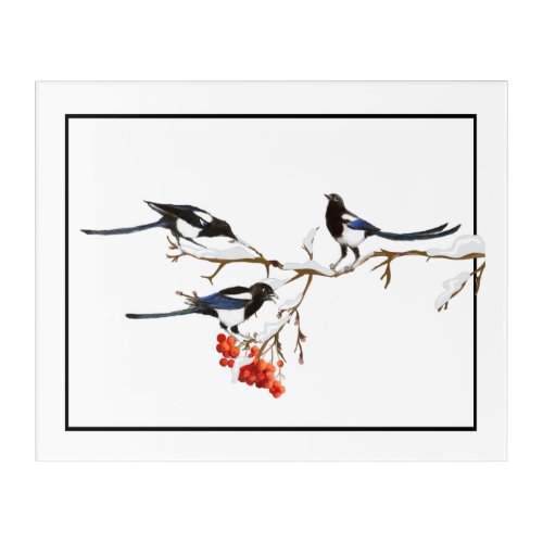 Watercolor Magpie Birds Nature Art