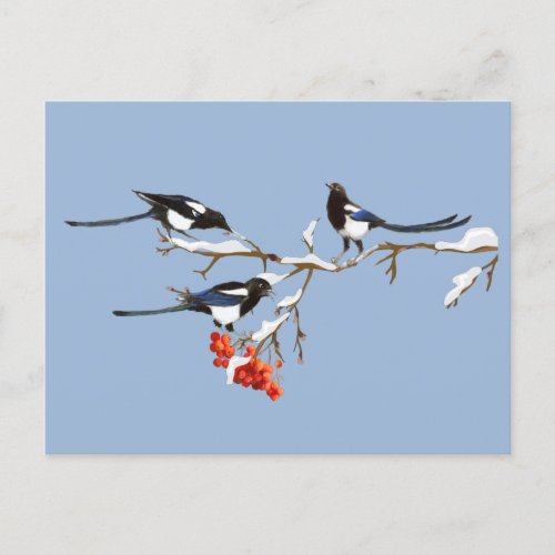 Watercolor Magpie Birds Nature Art Postcard