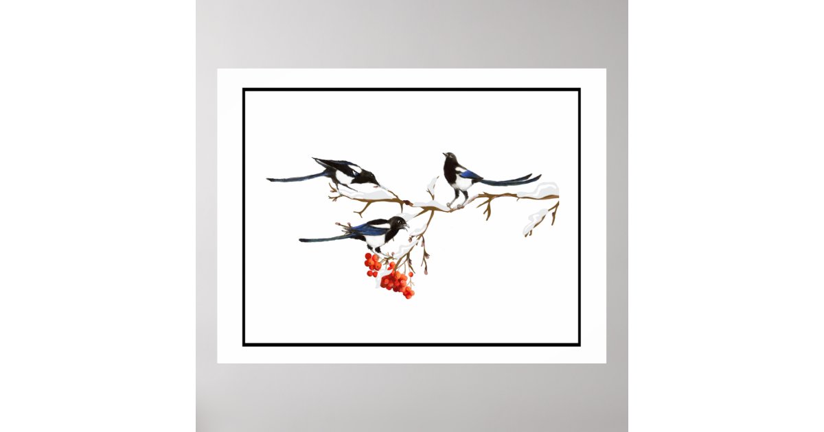 Watercolor Magpie Birds Nature Art Poster | Zazzle