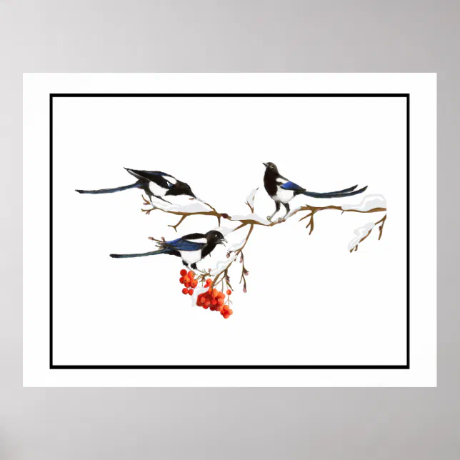 Watercolor Magpie Birds Nature Art Poster | Zazzle