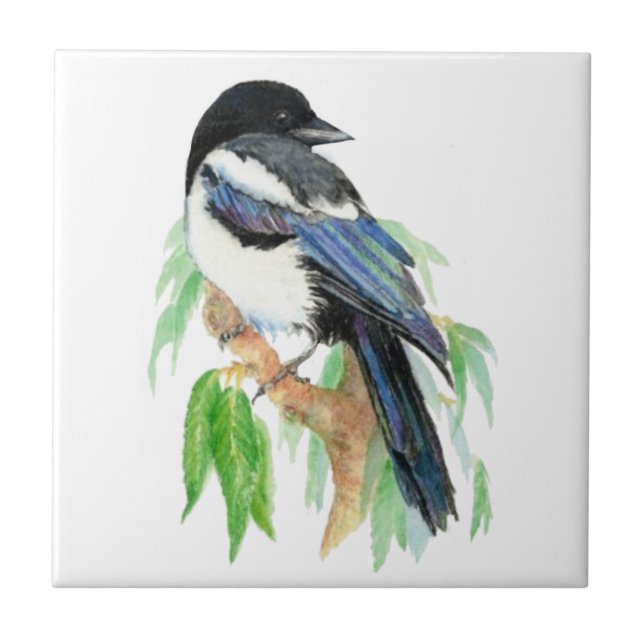 Watercolor  Magpie Garden Bird art Tile (Front)
