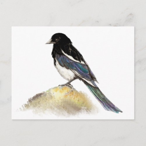 Watercolor Magpie Garden Bird Nature Postcard