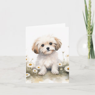 Watercolor Maltese Dog In Daisies Note Card