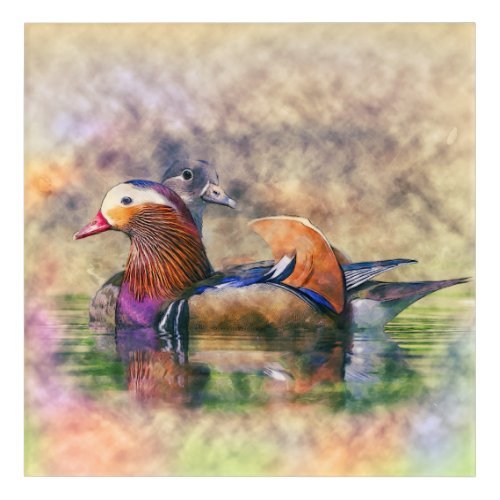 Watercolor Mandarin Ducks Feng Shui Symbol Acrylic Print