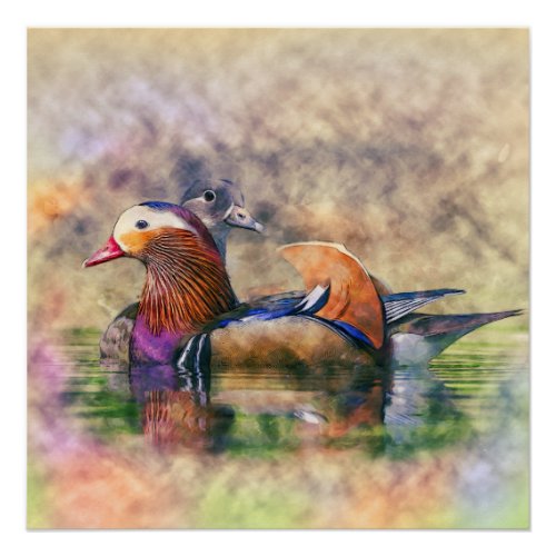 Watercolor Mandarin Ducks Feng Shui Symbol Poster