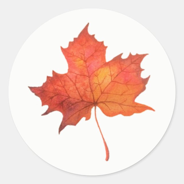 Watercolor Maple Leaf Classic Round Sticker (Front)