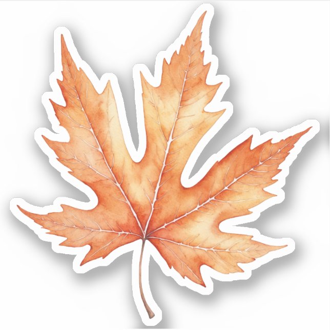 Watercolor Maple Tree Leaf Sticker (Front)