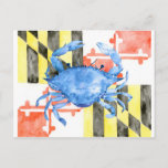 Watercolor maryland flag and blue crab postcard