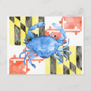 Postcard - Maryland State, Flag and Icons – The Maryland Store