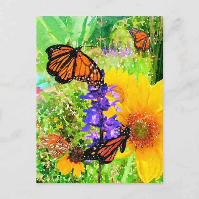 Watercolor Monarch Butterfly Sunflower Garden Postcard (Front)