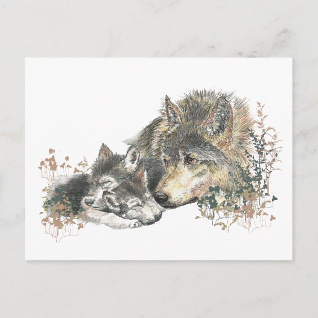 Watercolor Mother Wolf & Cubs Animal Art Postcard (Front)