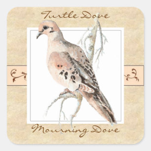 Watercolor Mourning Dove, Turtle Dove Square Sticker