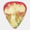 Watercolor Mushroom Guitar Picks