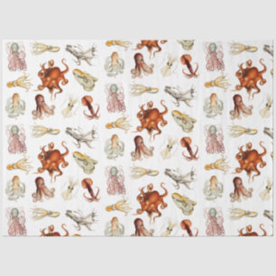 Watercolor Octopus Cephalopod Ocean Animals Tissue Paper