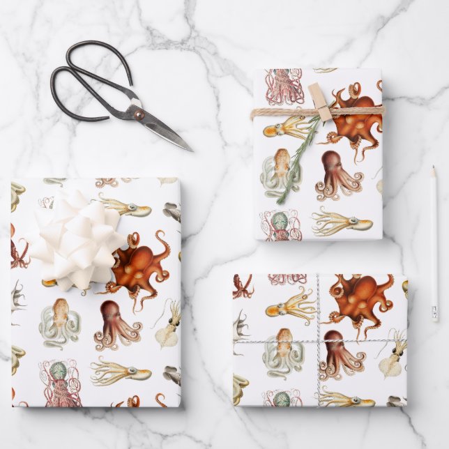 Watercolor Octopus Cephalopod Ocean Animals  Wrapping Paper Sheets (Front)