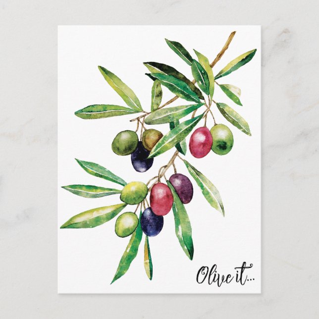 Watercolor Olive Branch Postcard (Front)