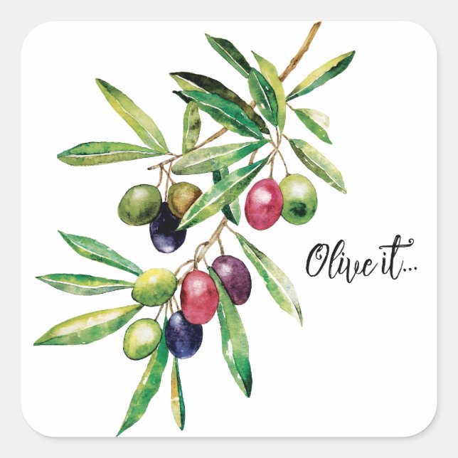 Watercolor Olive Branch Square Sticker (Front)
