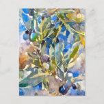 Watercolor Olives On The Olive Branch. Painted. Ar Postcard at Zazzle