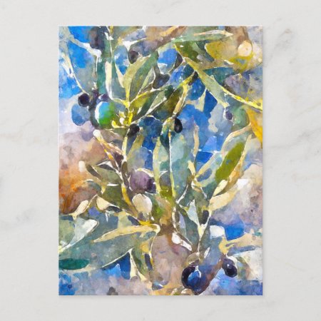 Watercolor Olives On The Olive Branch. Painted. Ar Postcard