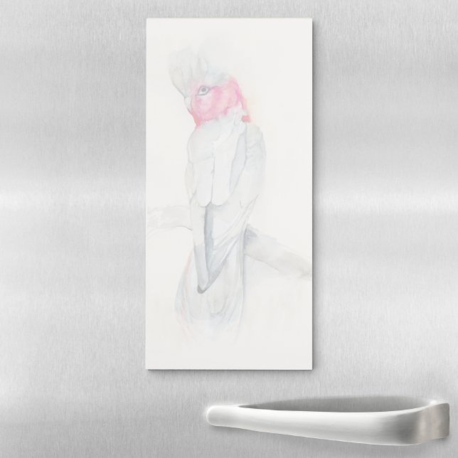 Watercolor Opera Cockatoo Magnetic Notepad (In Situ)