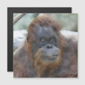 Watercolor Orang (Front/Back)