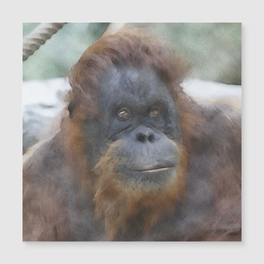 Watercolor Orang (Front)