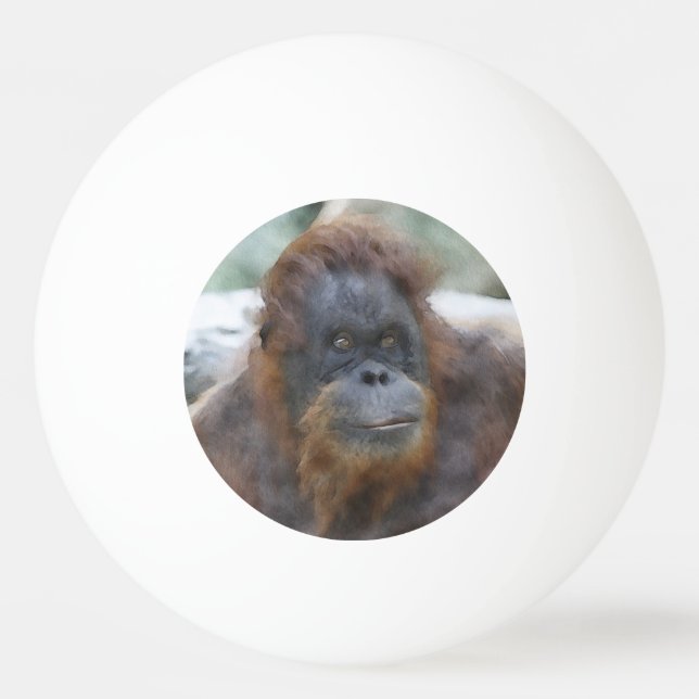 Watercolor Orang Ping Pong Ball (Front)