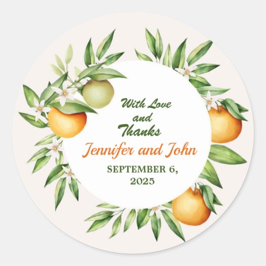 Watercolor Orange Fruit Botanical Wedding Classic Round Sticker
